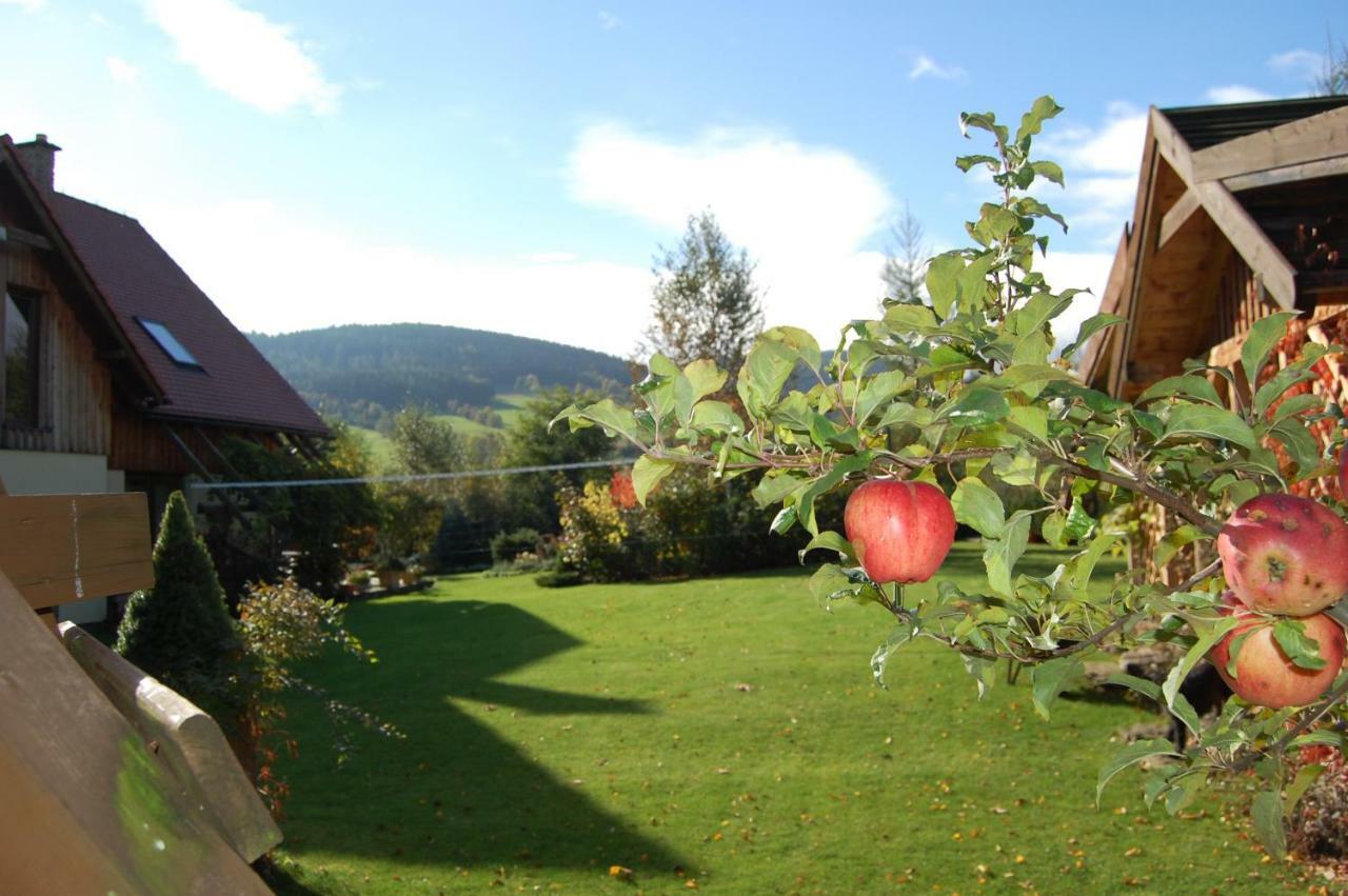 Dom Pod Wilczyncem Villa Stronie Slaskie Luaran gambar